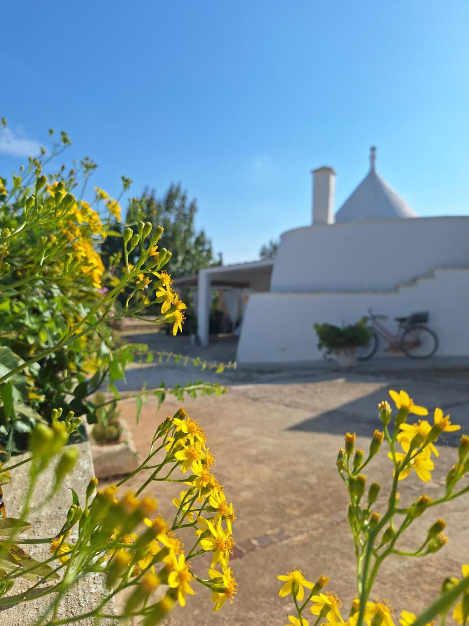 Holiday Home Trullo Antico Ostuni Extérieur photo